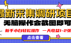 新版采集调研项目，截图上传即可，无脑操作，日收益1-2张