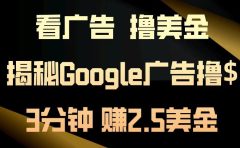 看广告，撸美金！3分钟赚2.5美金！日入200美金不是梦！揭秘Google广告撸美金全攻略！