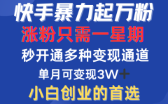 快手暴力起万粉，涨粉只需一星期！多种变现模式