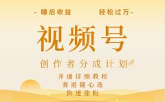 详解视频号创作者分成计划,暴力起号,可同步多平台,实现睡后收入2W+,看懂即可操作!