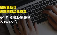虚拟图集项目:矩阵站群自动化成交,3-5个月实现快速赚钱月入1W+左右