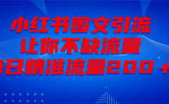 最新！小红书图文引流，全面解析日引300私域流量，是怎样做到的！
