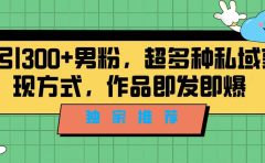 独家推荐！日引300+男粉，超多种私域变现方式，作品即发即报