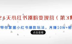 21天小红书涨粉变现营（第3期）：带你掌握小红书爆款玩法，月赚10W+秘密