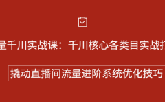 巨量千川实战系列课：千川核心各类目实战打法，撬动直播间流量进阶系统优化技巧
