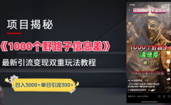 最新一千个野路子信息差玩法教程如何变现+引流的玩法具体拆解!!!