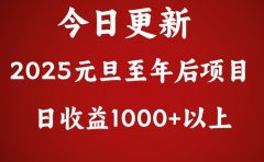 翻身项目，日收益1000+以上