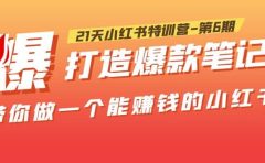 21天小红书特训营-第6期，打造爆款笔记，带你做一个能赚钱的小红书