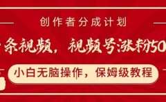 一条视频,视频号涨粉500+,开通创作者分成计划