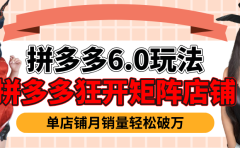 拼多多虚拟商品暴利6.0玩法,轻松实现月入过万