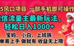2025蓝海风口项目，微信流量主最新玩法，轻松日入1000+，简单易上手，做就有 收益无上限