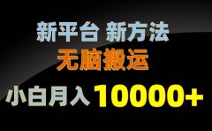 新平台新方法,无脑搬运,月赚10000+,小白轻松上手不动脑