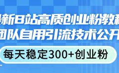 最新B站高质创业粉教程,团队自用引流技术公开