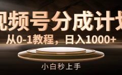 视频号分成计划,从0-1教程,日入1000+