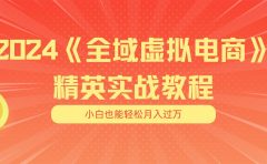 月入五位数 干就完了 适合小白的全域虚拟电商项目(无水印教程+交付手册)