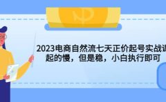 2023电商自然流七天正价起号实战课:起的慢,但是稳,小白执行即可