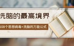 《洗脑的最高境界》人手一本的商业圣经,108个思想病毒+洗脑的万能公式