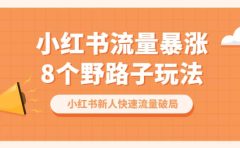 小红书流量-暴涨8个野路子玩法：小红书新人快速流量破局（8节课）