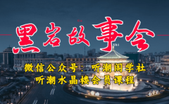 1万播放充值500！三级分销小说推文模式！听潮阁学社黑岩故事会实操全流程