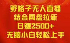 无人直播野路子结合网盘拉新，日赚2500+多平台变现，小白无脑轻松上手操作