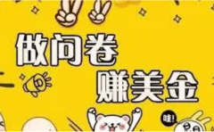 外边收费四五千的国外问卷调查项目，单人一天操作100美元，真正的搬砖项目