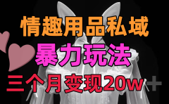 情趣用品私域，25年最新暴力玩法，三个月变现20w➕
