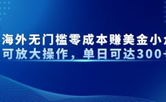 最新海外无门槛美金小众项目可放大操作，单日可达300+