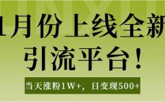 1月上线全新引流平台，当天涨粉1W+，日变现500+工具无脑涨粉，解放双手操作简单