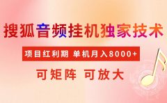 全网首发【搜狐音频挂机】独家技术,项目红利期,可矩阵可放大,稳定月入8000+