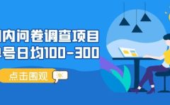 国内问卷调查项目，操作简单，时间灵活