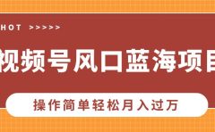 视频号风口蓝海项目，中老年人的流量密码，操作简单轻松月入过万