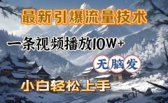 最新引爆流量技术,一条视频播放10W+,无脑发,小白轻松上手