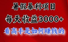 暑假暴利项目,每天收益3000+ 努努力能达到5000+,暑假大流量来了