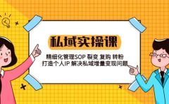 私域实战课程:精细化管理SOP 裂变 复购 转粉 打造个人IP 私域增量变现问题