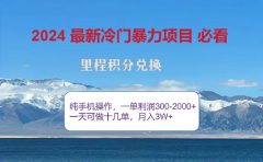 2024惊爆冷门暴利！出行高峰来袭，里程积分，高爆发期，一单300+—2000+，月入过万不是梦！