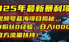 2025年最新暴利项目：视频号蓝海项目揭秘，0粉丝0经验，日入1000+，官方流量扶持！