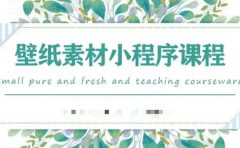 闪闪壁纸号运营教程,抓住图文风口,快速吸粉变现