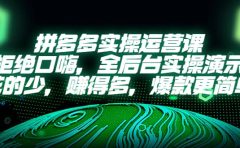 拼多多实操运营课：拒绝口嗨，全后台实操演示，花的少，赚得多，爆款更简单