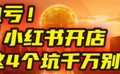 【亲测】小红书的这个赛道,简直就是流量天花板,我这个月已经赚2W+(附带教程)