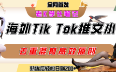 海外tiktok小说推文暴力项目，高停留率，高转化率，上手后一天搞顿饭钱不是问题