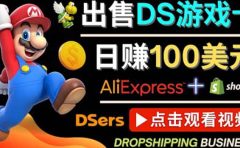 出售DS游戏卡,日赚100美元以上,净利润可达100%