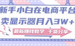 新手小白如何做到在电商平台卖显示器月入3W+，最新赚钱教学干货分享
