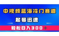 中视频蓝海冷门赛道，韩国视频奇闻解说，起号迅速，日入300＋