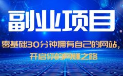 零基础30分钟拥有自己的网站，日赚1000+，开启你的网赚之路（教程+源码）