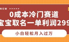 0成本冷门赛道，宝宝取名一单利润299，小白轻松月入过万