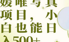最新出炉媛唯写真项目,小白可日入500+