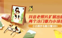 抖音老照片扩展出的两个冷门暴力小项目，小白照抄也能日撸500+