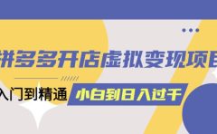 拼多多开店虚拟变现项目：入门到精通 从小白到日入1000（完整版）6月13更新