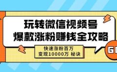 玩转微信视频号爆款涨粉赚钱全攻略，快速涨粉百万变现万元秘诀