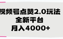 视频号点赞2.0玩法，月入4000+，全新平台